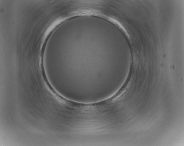 X0000075861424200609151215