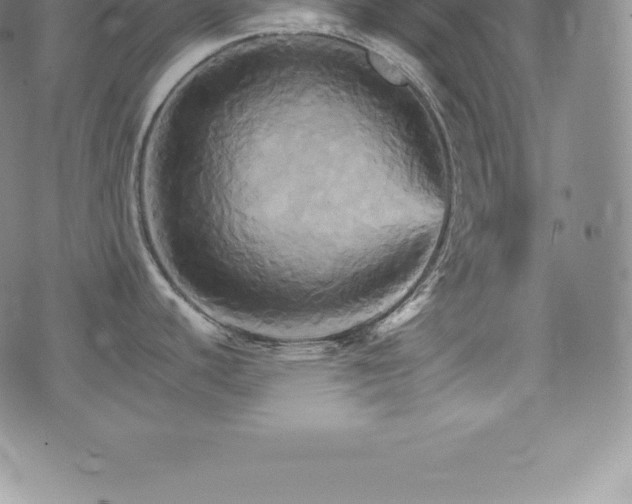 X0000075861440200609151215