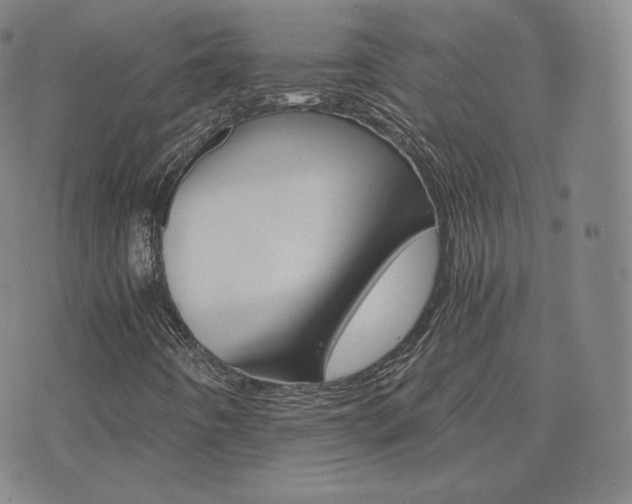 X0000075861442200609151214