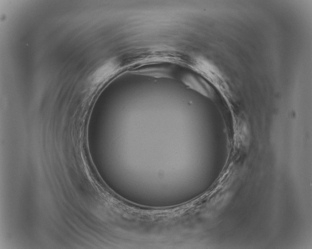 X0000075860001200609221807