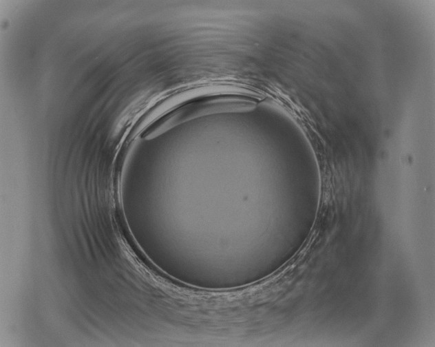 X0000075860002200609221807