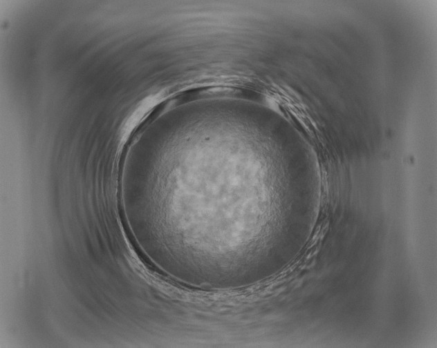 X0000075860003200609221807