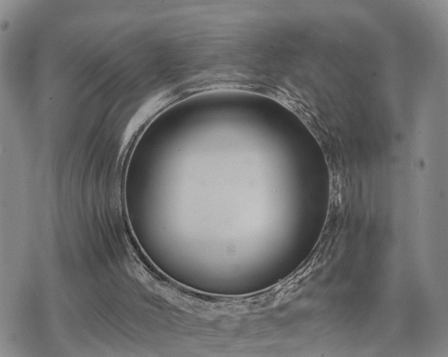 X0000075860004200609221807