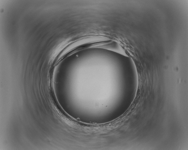 X0000075860005200609221807