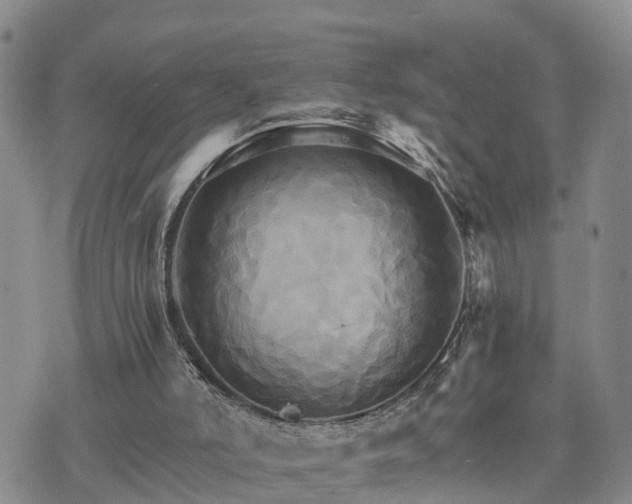 X0000075860006200609221807