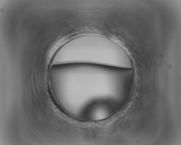 X0000075860007200609221807