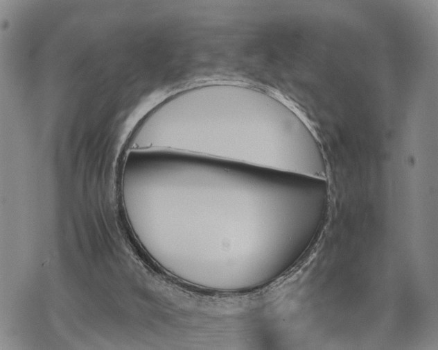 X0000075860008200609221807