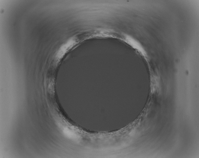 X0000075860009200609221807