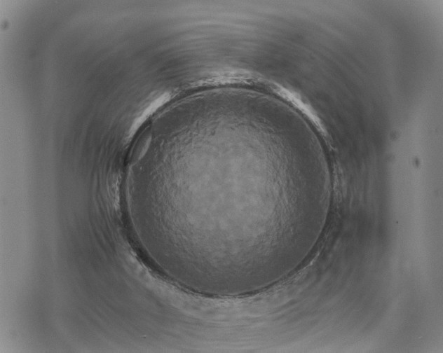 X0000075860010200609221807