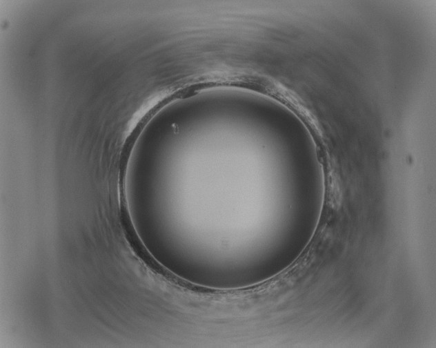 X0000075860011200609221807