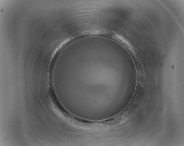 X0000075860012200609221807