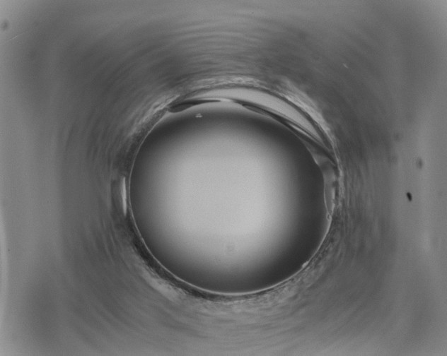 X0000075860013200609221807