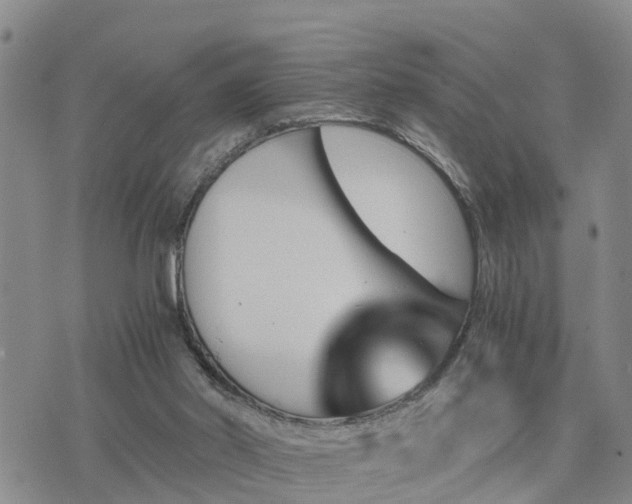 X0000075860014200609221807