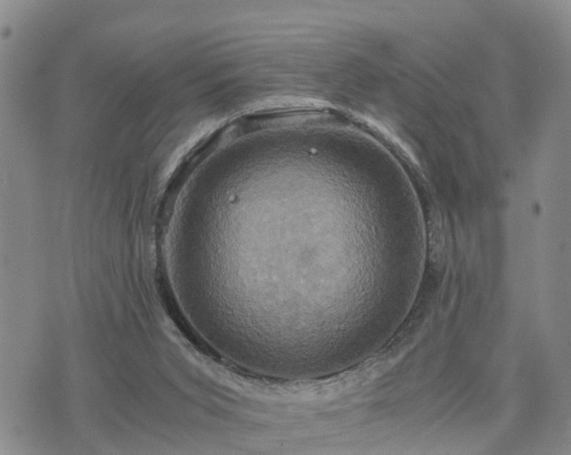 X0000075860015200609221807