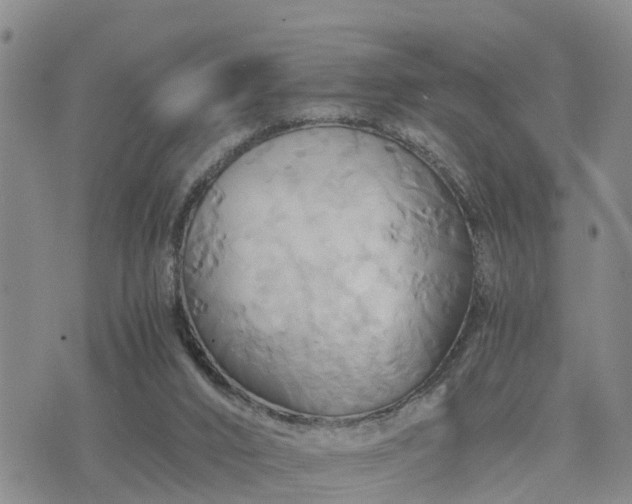 X0000075860016200609221807