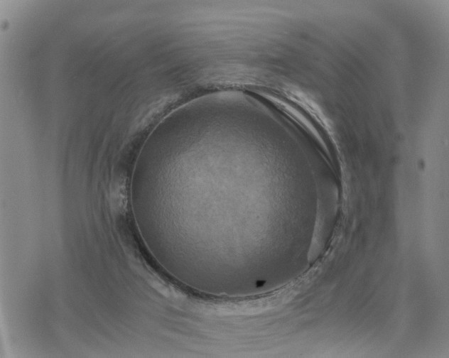 X0000075860017200609221807