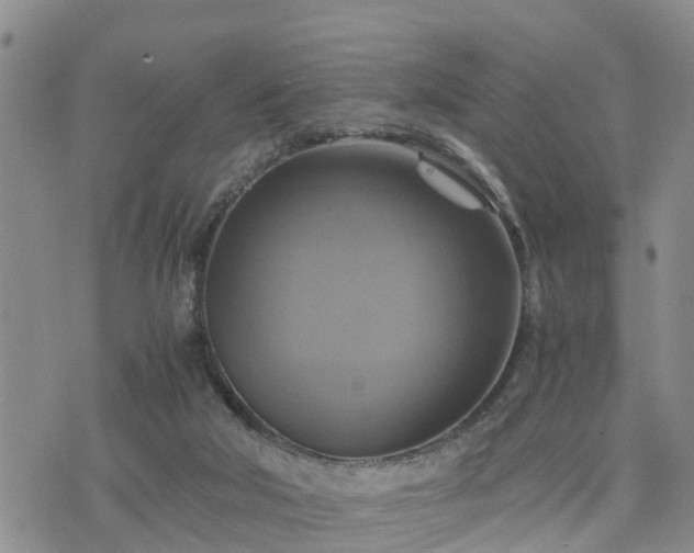 X0000075860018200609221807