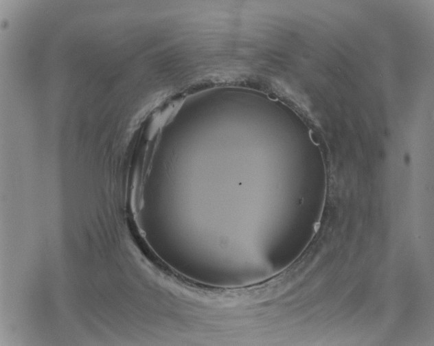 X0000075860019200609221807