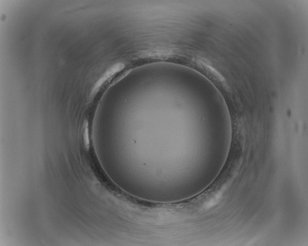 X0000075860020200609221807