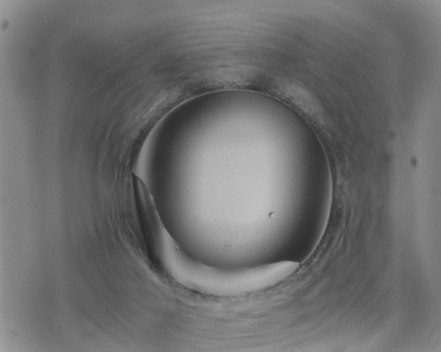 X0000075860021200609221807