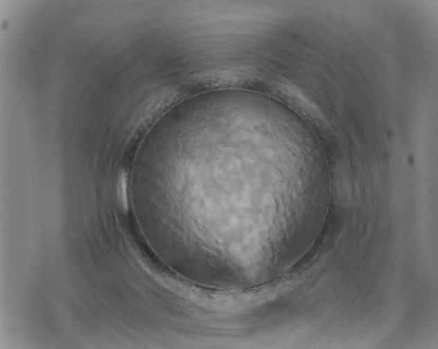 X0000075860022200609221807