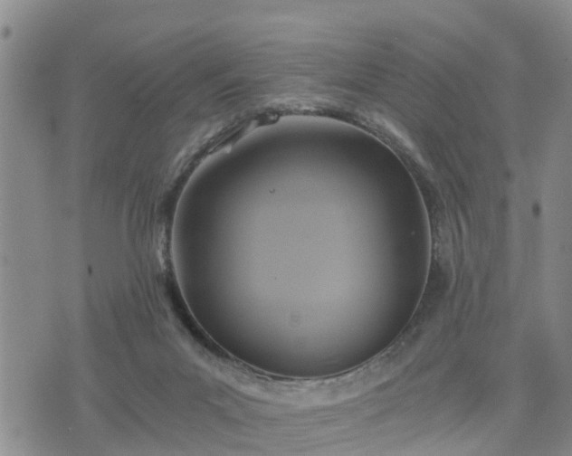 X0000075860023200609221807