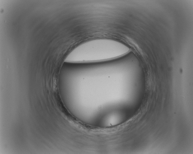 X0000075860025200609221807