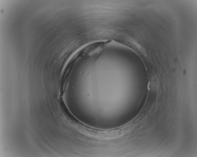 X0000075860027200609221807