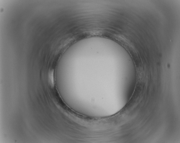 X0000075860028200609221807