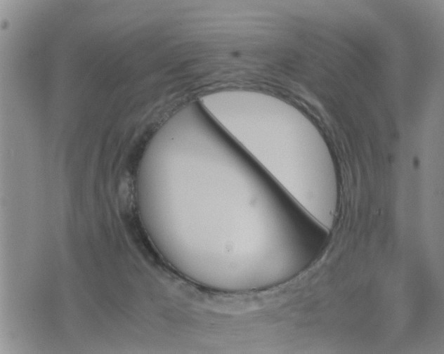 X0000075860029200609221807