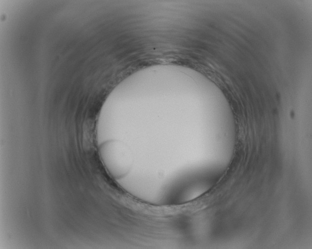 X0000075860030200609221807