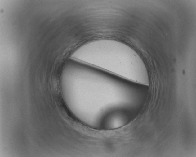 X0000075860031200609221807