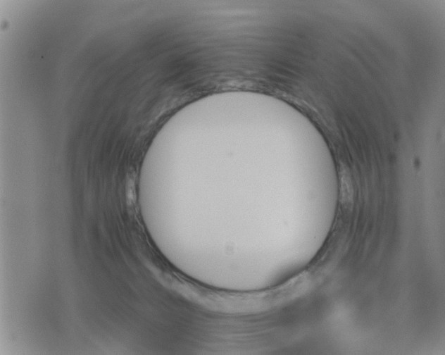 X0000075860032200609221807