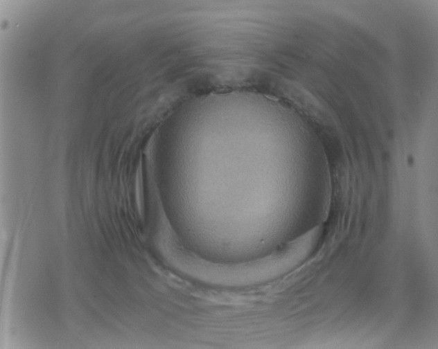 X0000075860033200609221807