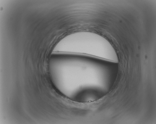 X0000075860035200609221807