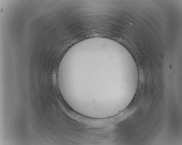 X0000075860036200609221807