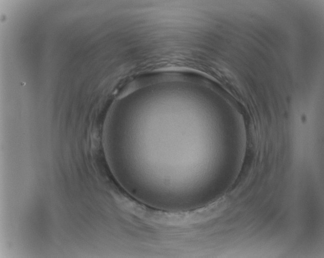 X0000075860037200609221806