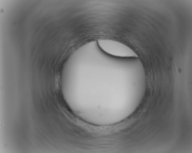 X0000075860038200609221806