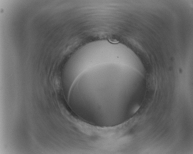 X0000075860039200609221806