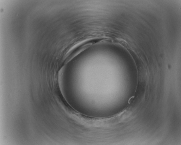 X0000075860040200609221806