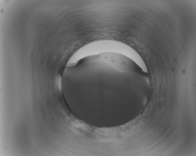 X0000075860041200609221806