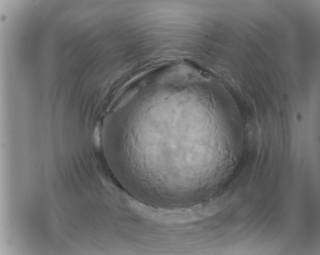 X0000075860042200609221806