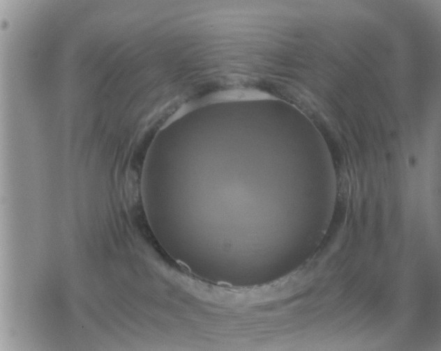 X0000075860043200609221806