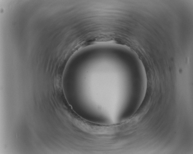 X0000075860044200609221806