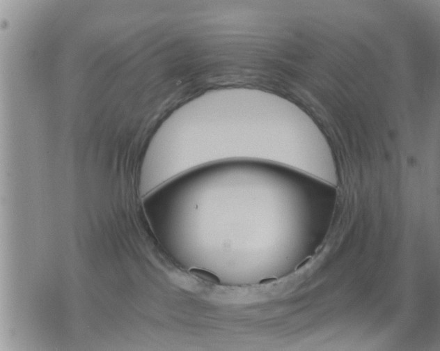 X0000075860045200609221806