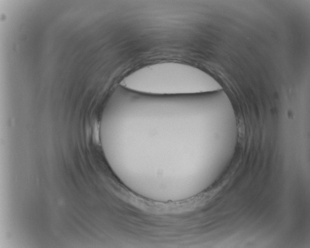 X0000075860046200609221806