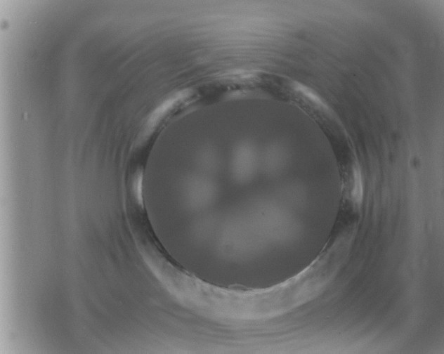 X0000075860047200609221806