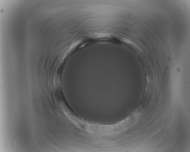 X0000075860048200609221806