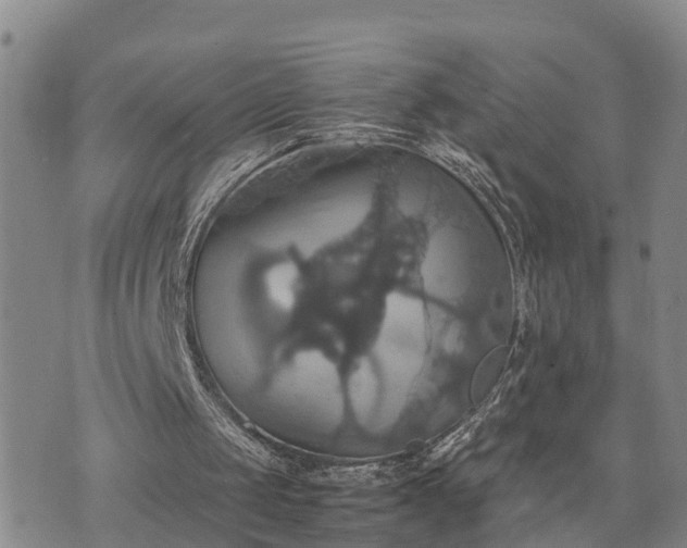 X0000075860049200609221806