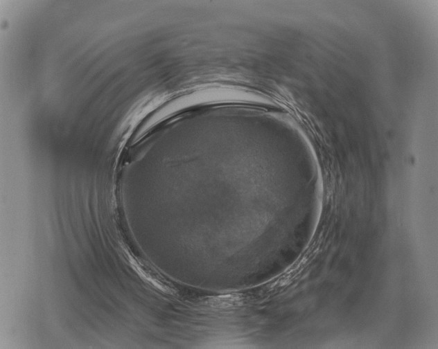 X0000075860050200609221806